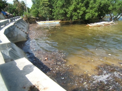 Boracay Island Philippines Polluted Water