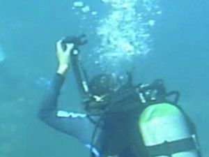 Diving Apo Island