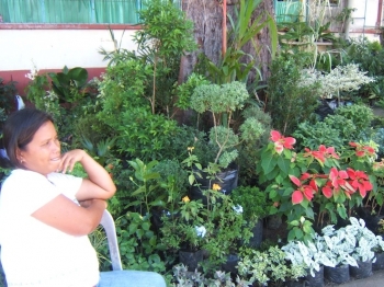 School Flower Garden Dumaguete