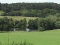 Weald Country Park