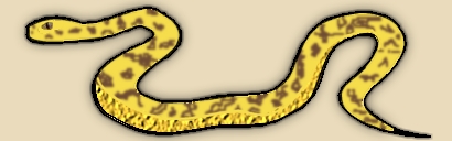 FhilippinesPlam  Veper Snake